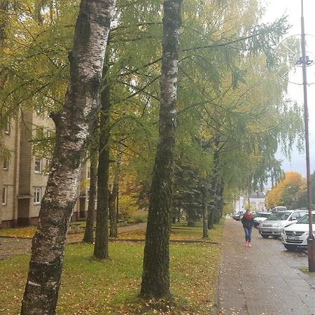 Apartamentai Vilniaus Street 希奥利艾 外观 照片